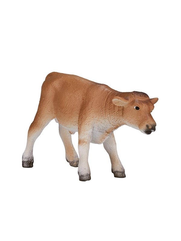 Mojo Farmland Jersey Calf Standing