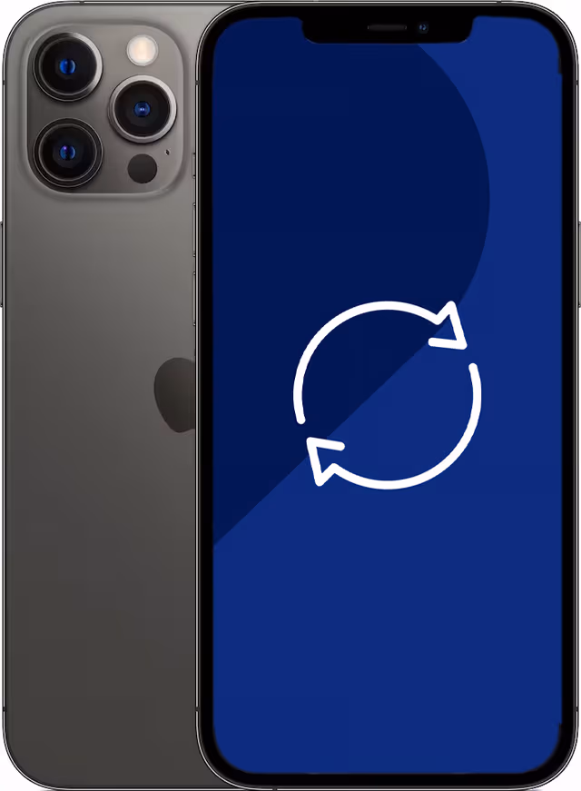 Brukt iPhone 12 Pro Max - 5G smarttelefon 128 GB (grafitt)