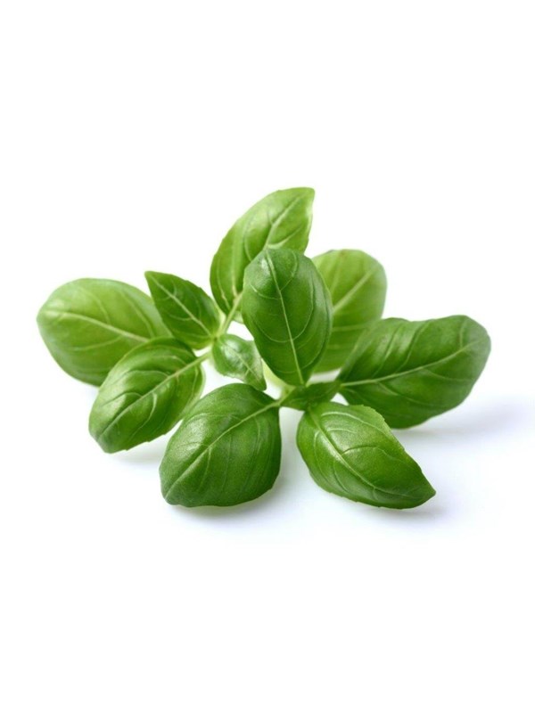 Click & Grow Click and Grow - Smart Garden Refill 3-pack - Basil (SGR3X3)