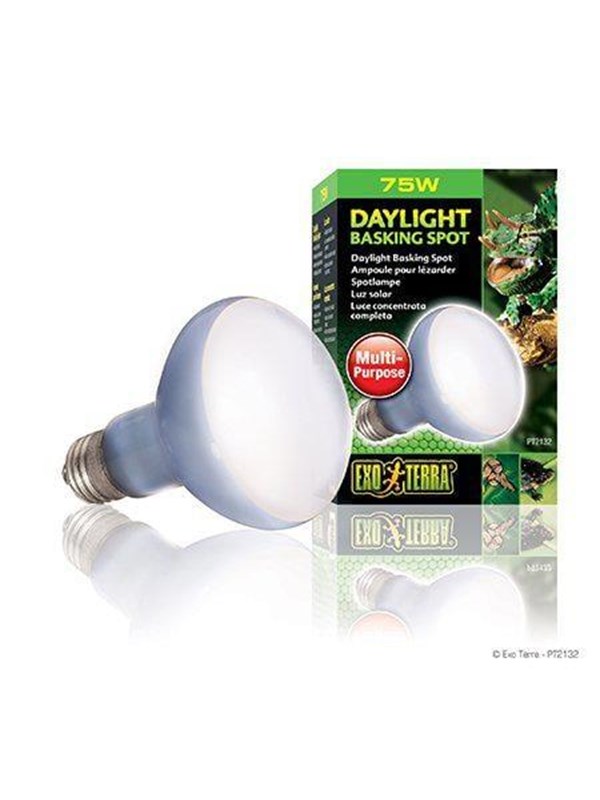 EXO TERRA - Daylight Basking Spot 75W R20 E27 Green - (220.2720)
