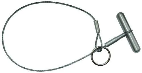 Svinebremse med ring Hauptner