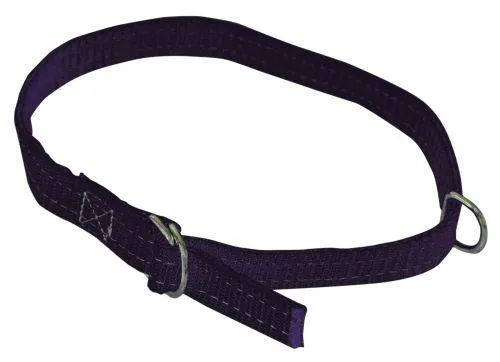 Sauhalsbånd 20mm 60cm sort