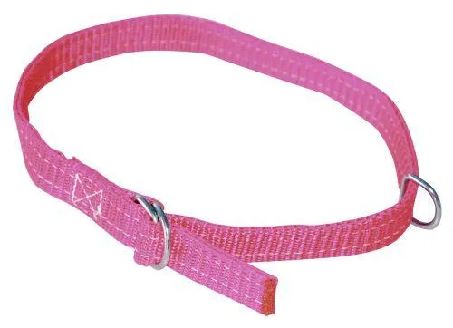 Sauhalsbånd 20mm 60cm rød