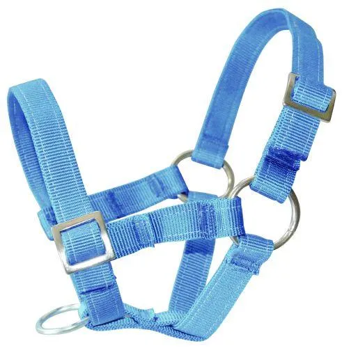 Grim til sau nylon blå
