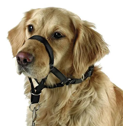 Antitrekksele snuteomfang maks 54 cm