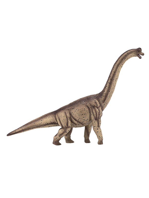 Mojo - Prehistory Deluxe Brachiosaurus - 387381