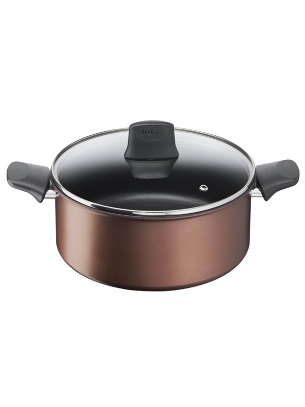 Tefal Resource Stewpot 24 cm/5.2 l. w. lid