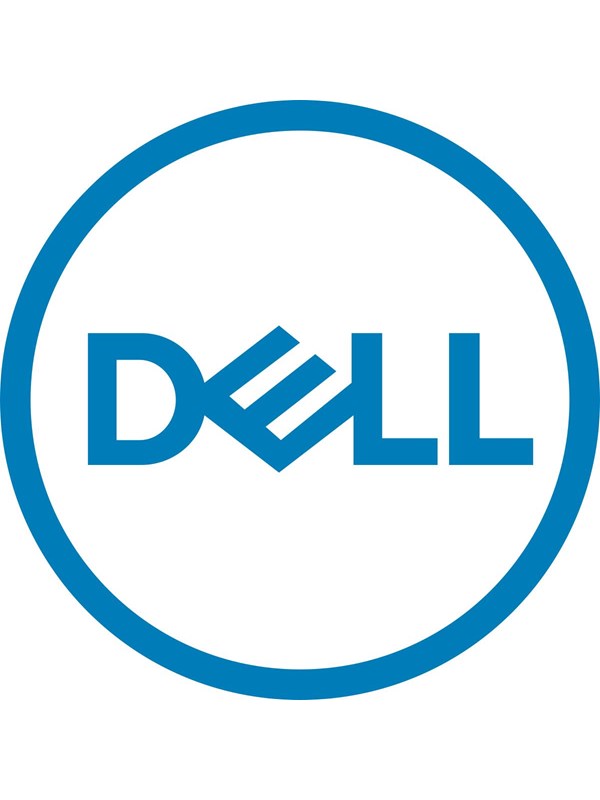 Dell BOSS - storage controller (RAID)