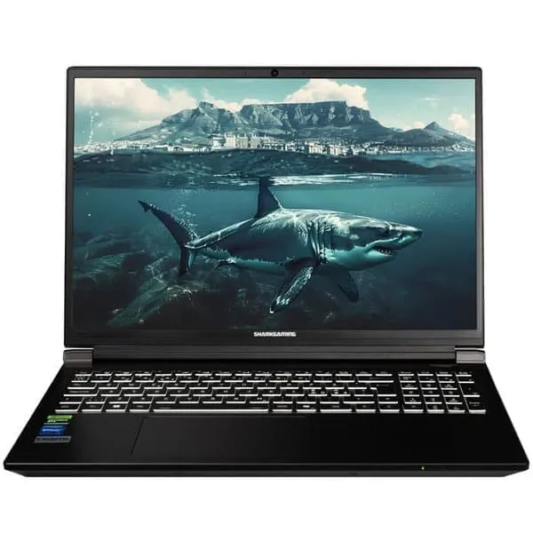 SharkGaming 9G17-70 Ti I9 Laptop / RTX 5070 Ti 12G, Intel core i9-14900HX, 17,3" QHD 240hz, Wi-fi 6, 16GB, 1TB SSD, Win11