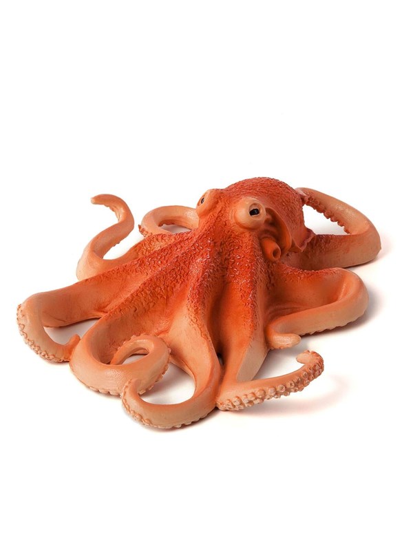 Mojo - Sealife Octopus