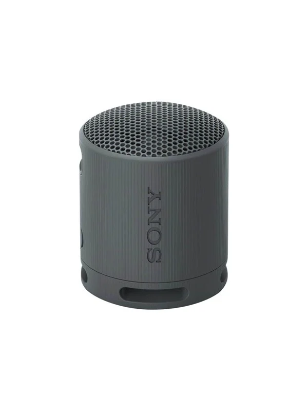 Sony SRS-XB100 - Portable speaker - Black