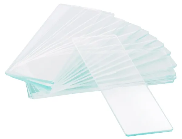 Levenhuk G50 1H objektglass blank, enkelt hul, 50 stk
