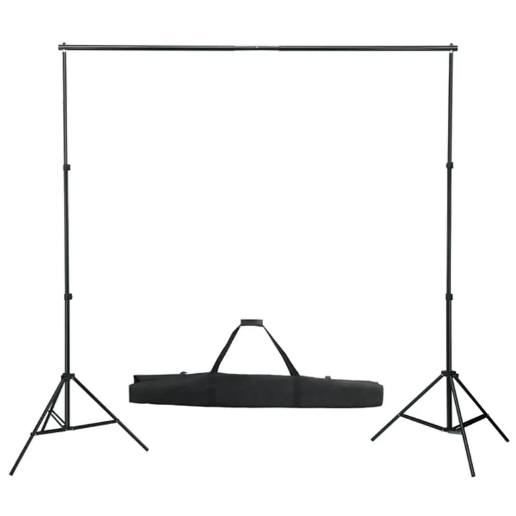 vidaXL Teleskopisk bakgrunnssystem 155-300 cm