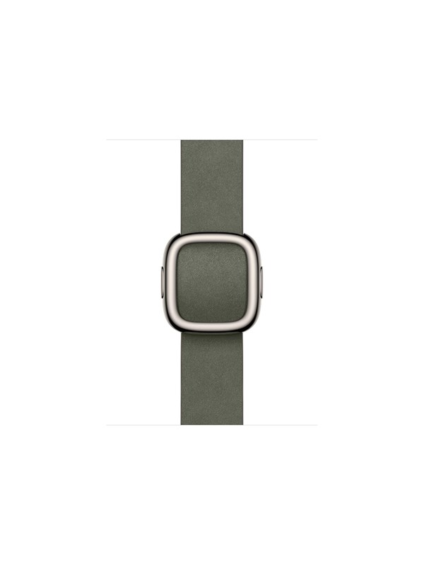 Apple 42mm Sage Gray Modern Buckle - Medium
