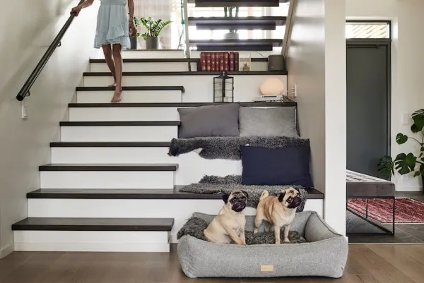 Shiro &amp; Malou Cozy Corner Hundeseng Grå M 100cm