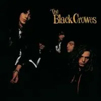 The Black Crowes - Shake Your Money Maker (Vinyl) (LP)