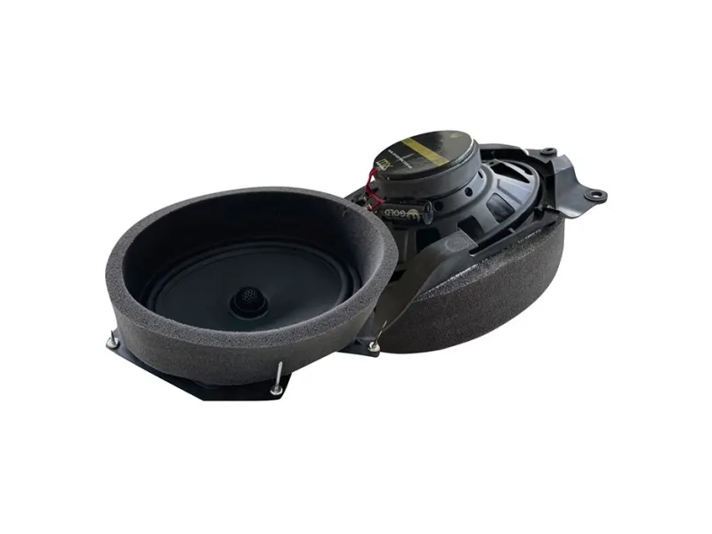 Phoenix Gold Speaker upgrade til Scania R-Series