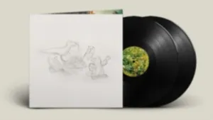 Big Thief - Dragon New Warm Mountain I Believe (LP)