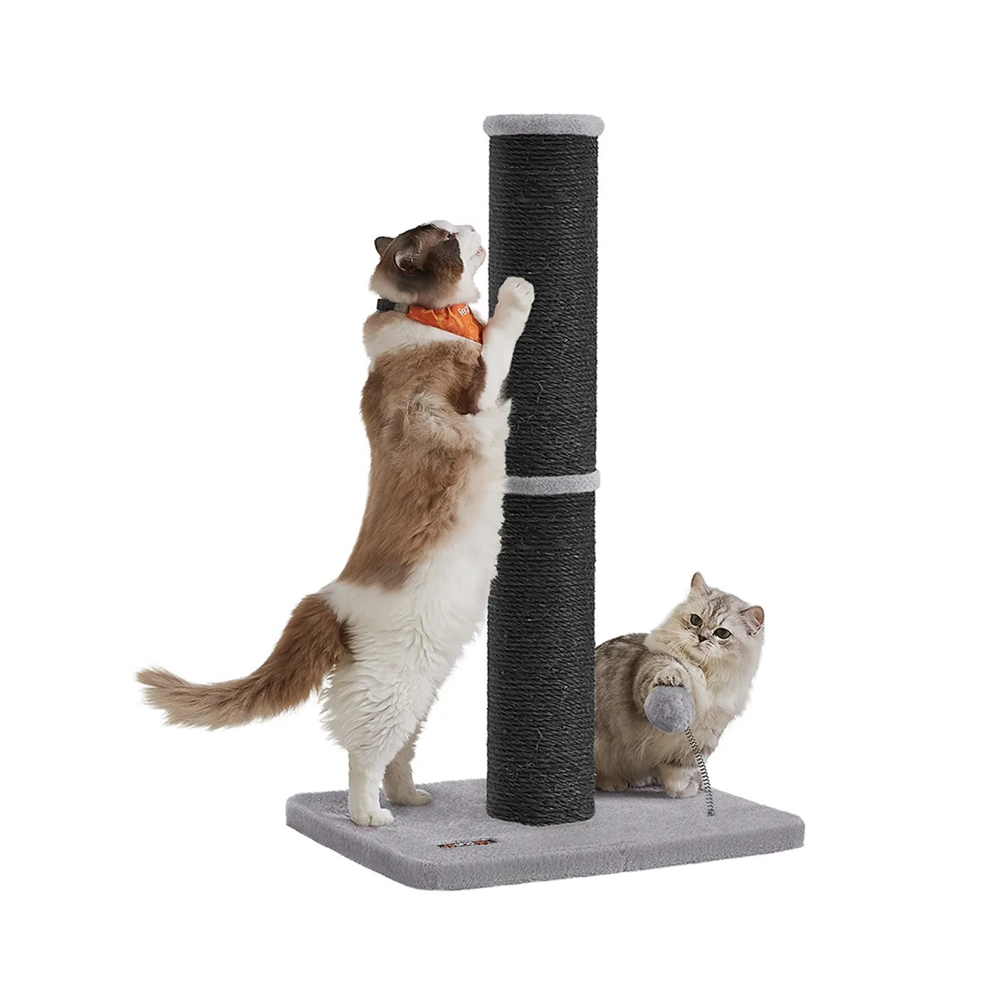 Klorestativ for katt, 50x40x85 cm, Svart