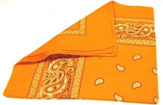 Paisley Bandana flere farger