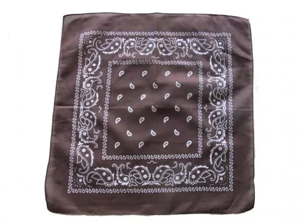 Paisley Bandana flere farger