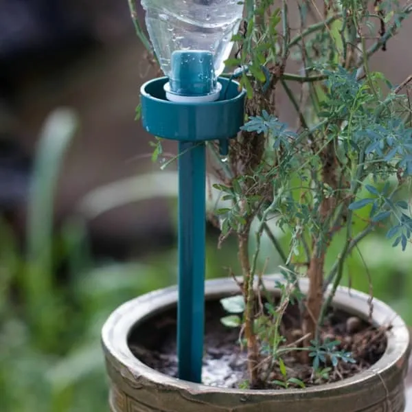 Automatisk vanning av potteplanter - vanning av blomster med PET-flaske
