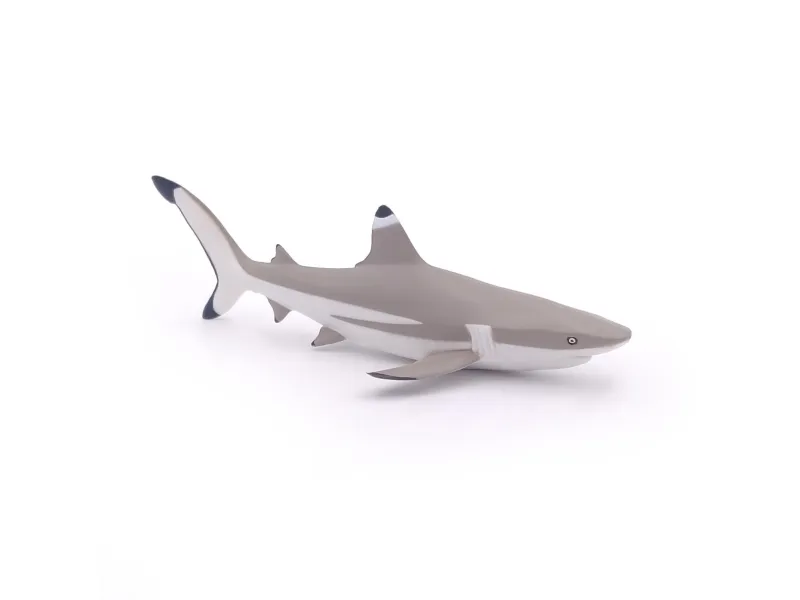 Papo 56034, 3 år, Marine life, Grå, PVC