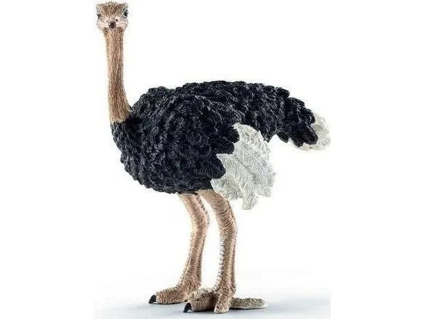 Collecta struts L 88459