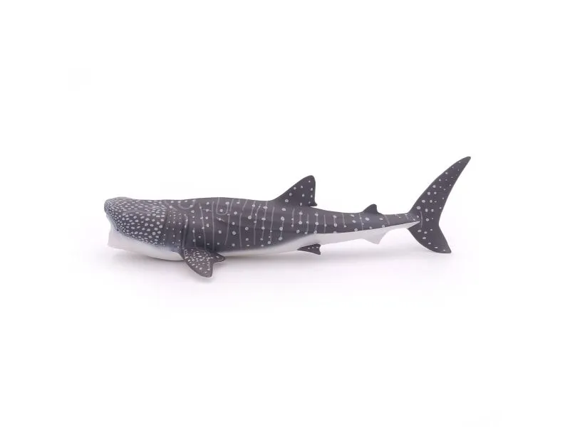 Papo 56039, 3 år, Marine life, Grå, Hvit, PVC