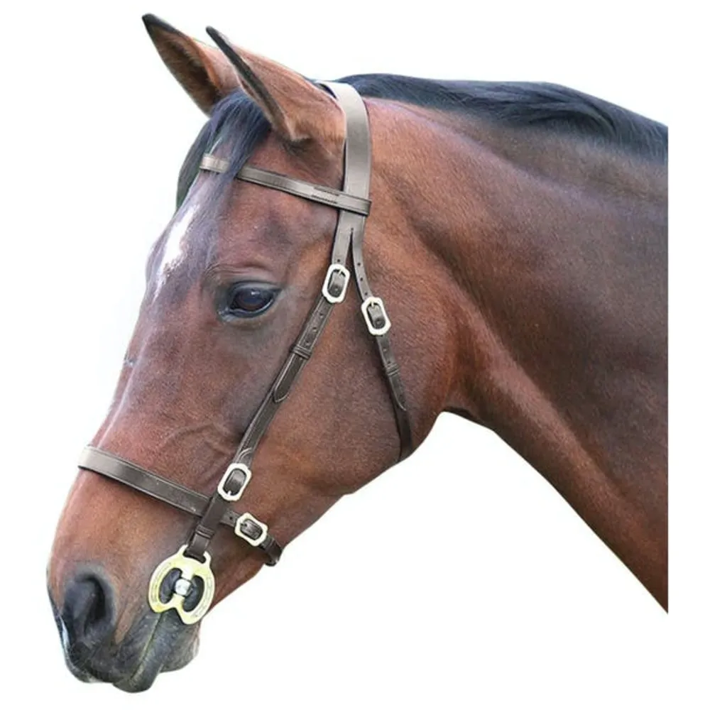 Blenheim Leather Plain Horse Inhand Bridle