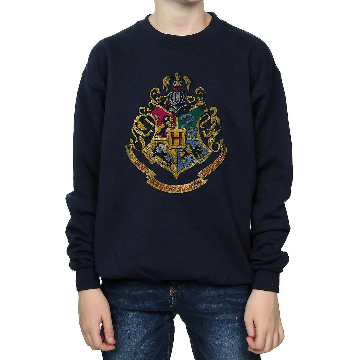 Harry Potter Boys Hogwarts Houses Cotton Sweatshirt