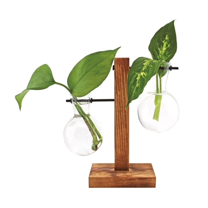 Winkee Hydro Vases Lilly - Vase