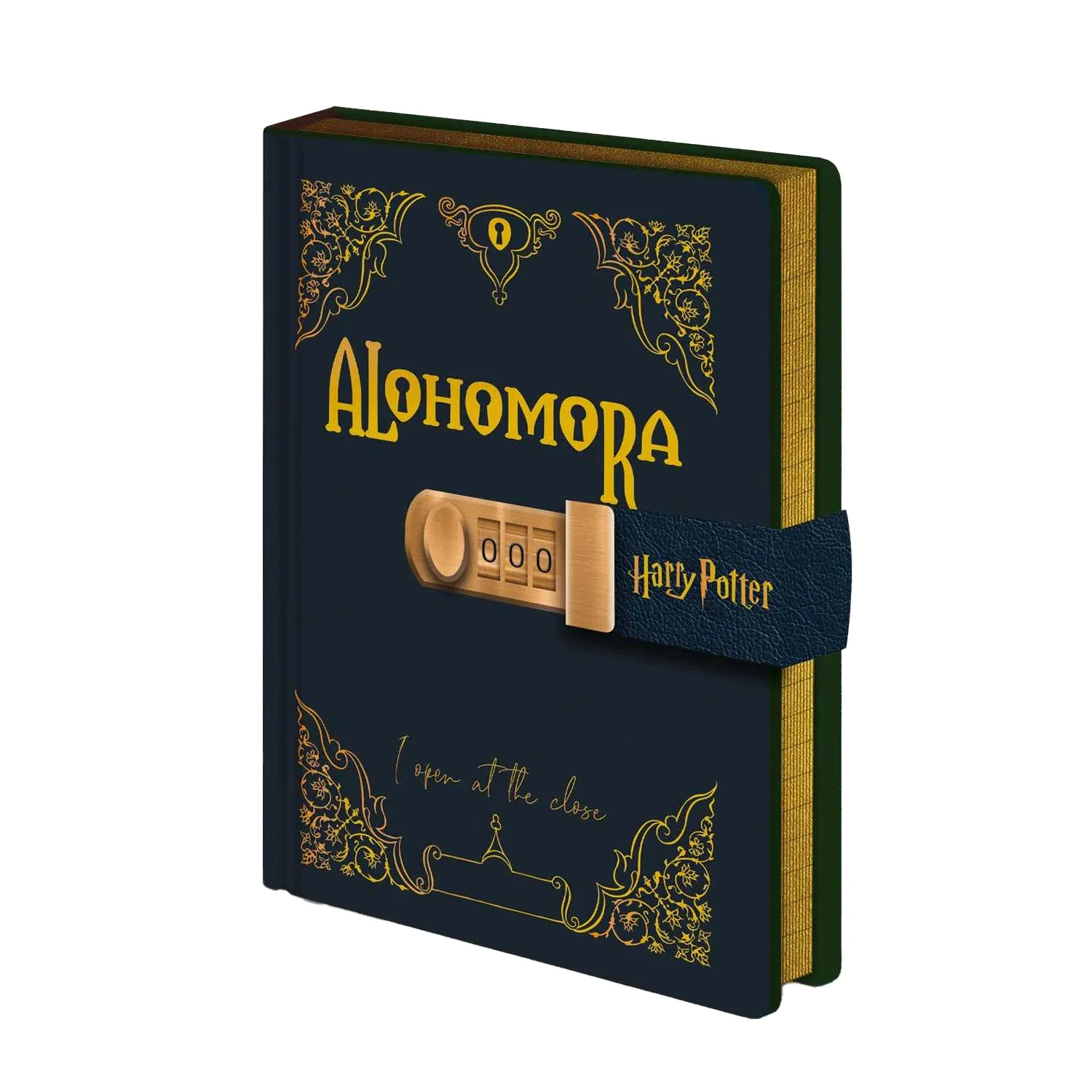 Harry Potter Alohomora Lockable A5 Diary