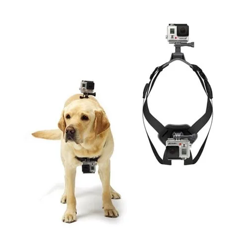 Bryst Skulder Hund Seletøy Gopro Mount
