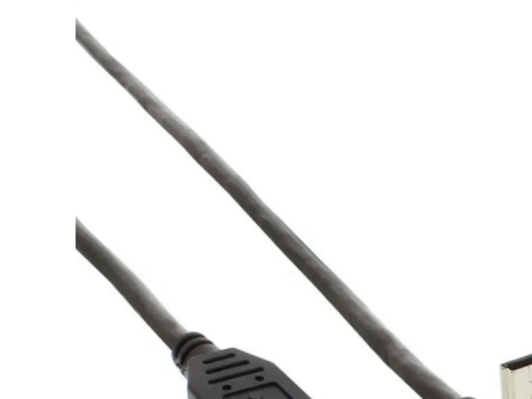 InLine 34110, 1 m, USB A, Mini-USB B, USB 2.0, Hankjønn/hankjønn, Svart