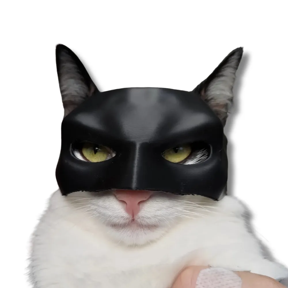 BatCat Batman kattemaske PawSmart Dark Knight