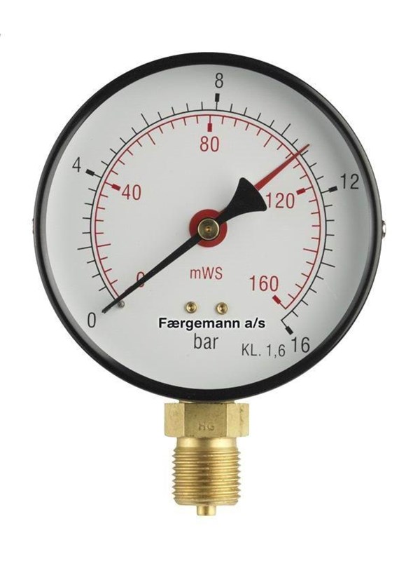 Erik Færgemann [481101042]