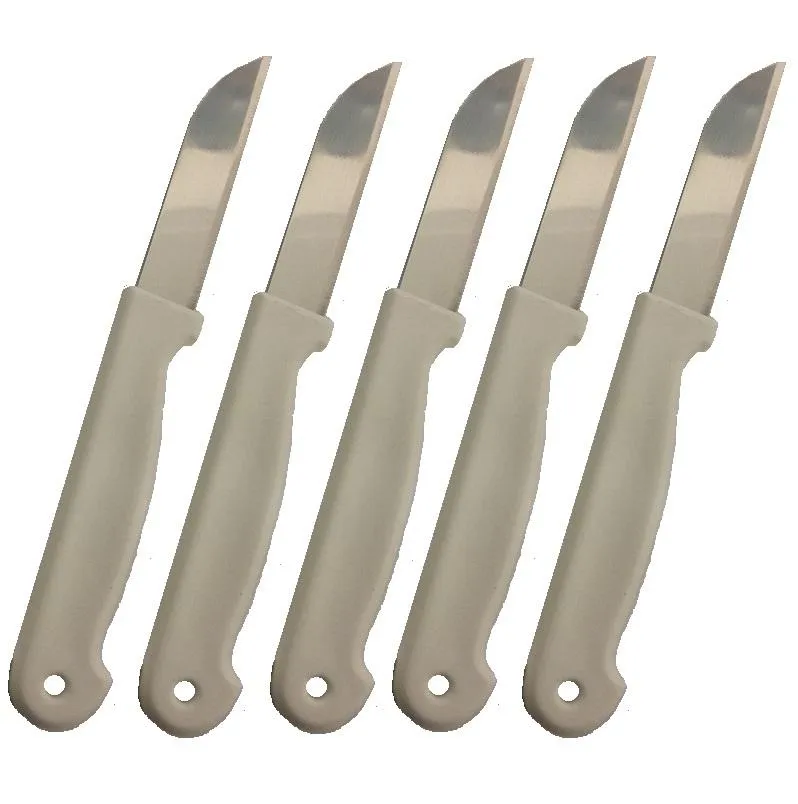 5 stk Fruktkniver i Rustfritt Stål - Kniver