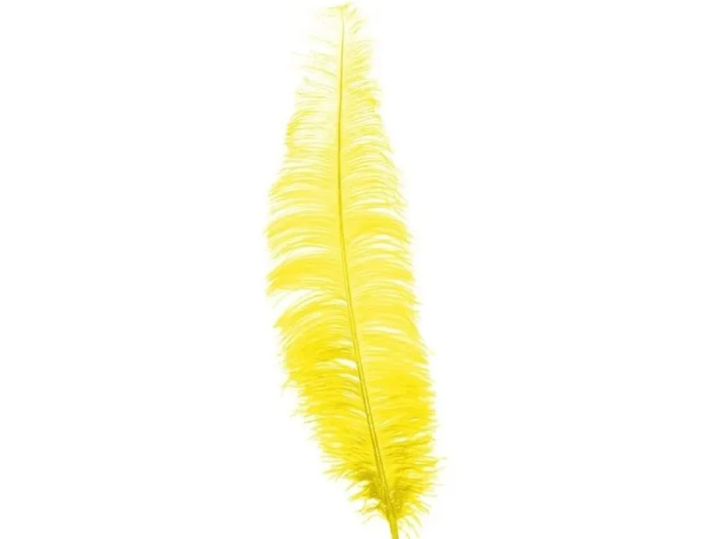 Gule strudsefjer 40 cm, 12 stk