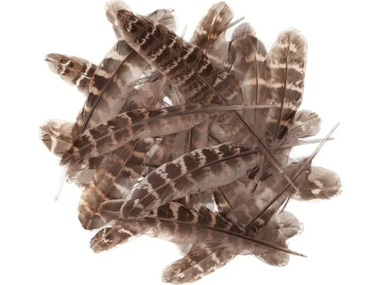Andefjær 15–20 cm 5 g