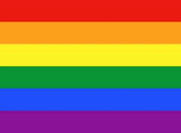 Stort Pride-flagg / Regnbueflagg