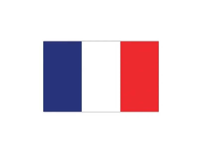 Flag Frankrig, 90 x 150