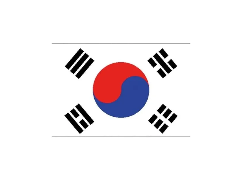 Flag Sydkorea, 90 x 150 cm