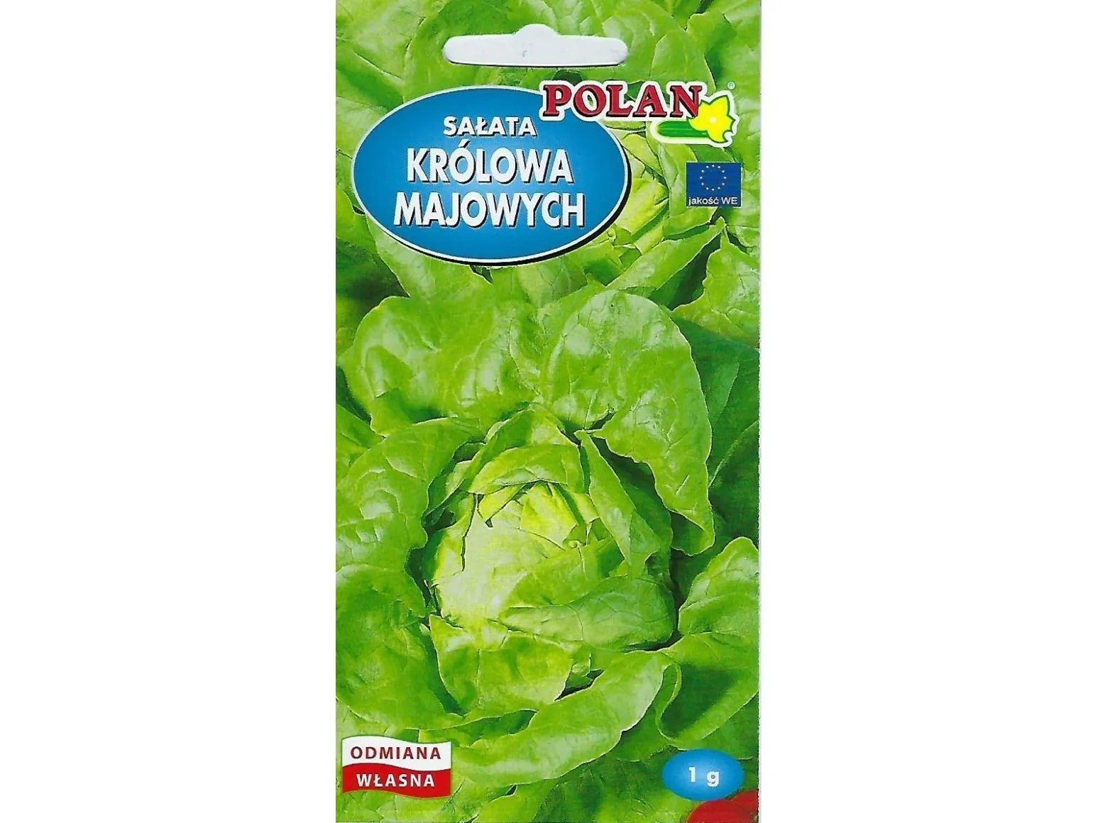 Nasiona Lactuca sativa - ekte salat (smørsalat) frø 1g