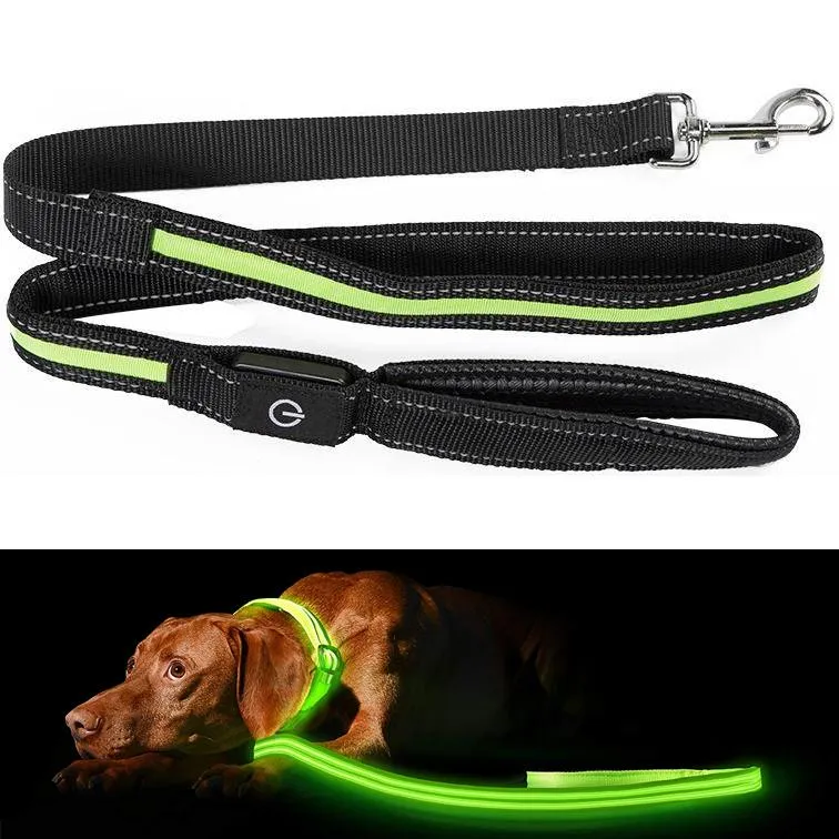 Hundebånd med LED / Bånd for Hund - 175 cm