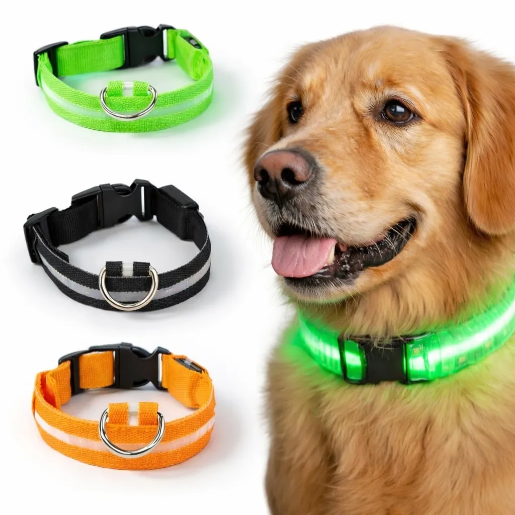 LED Hundehalsbånd Oppladbart / Refleks & Halsbånd til Hund - S - Grön