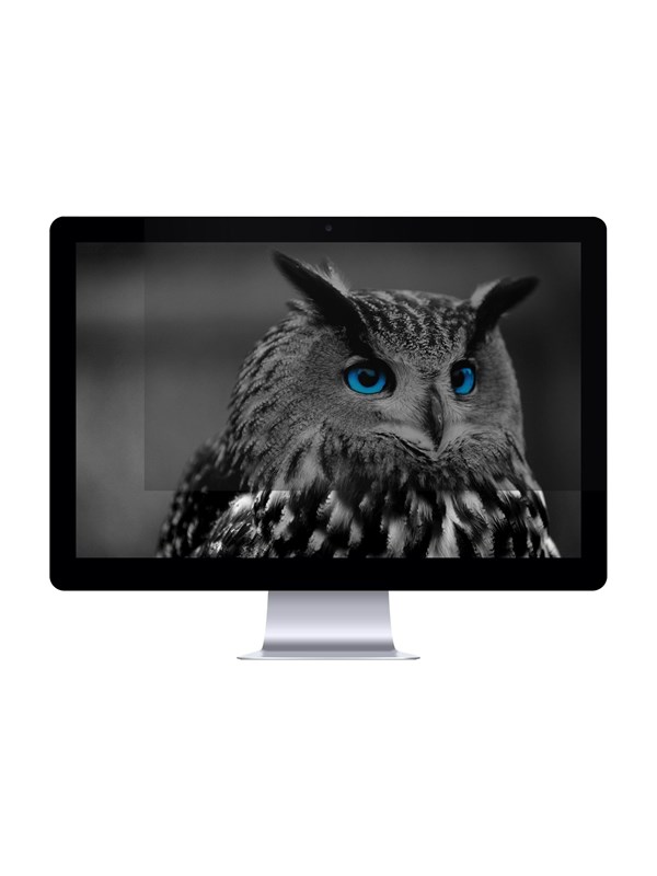 Natec OWL