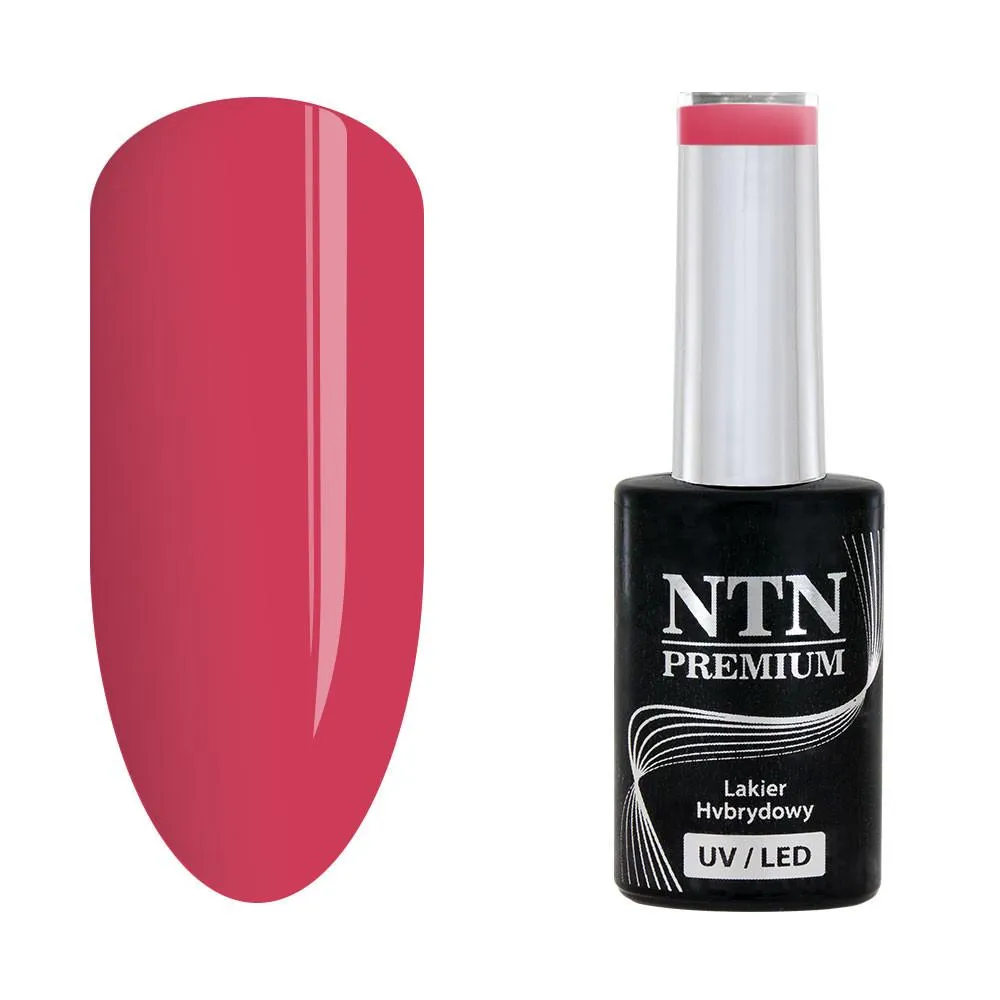 NTN Premium - Gelelakk - Celebration - Nr165 - 5g UV gel/LED
