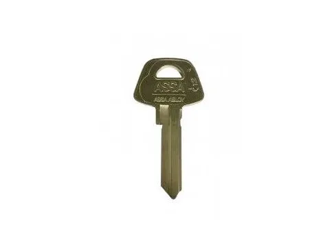 Schneider Electric BLANK KEY D12, 1 stk