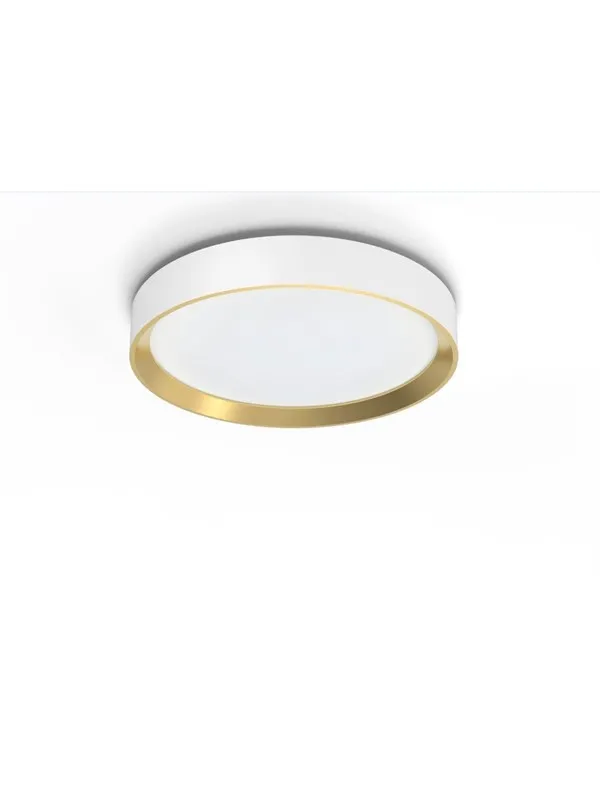 Philips Hanno ceiling SS RD 24W 27K W_G
